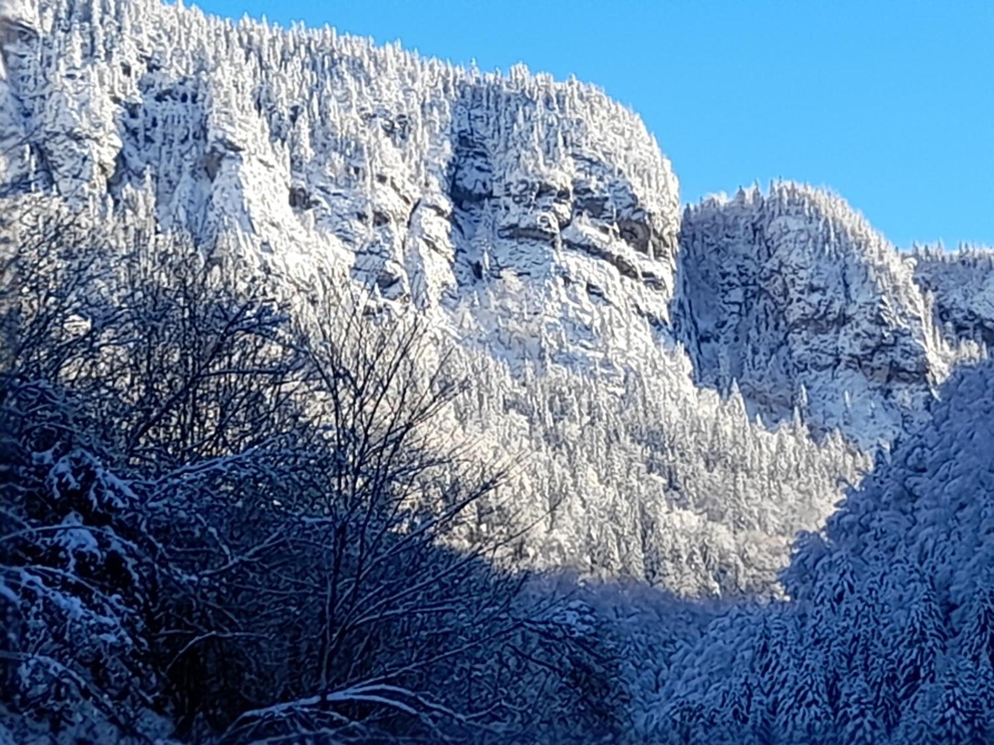 Le Bouquetin Appartement Entremont Buitenkant foto